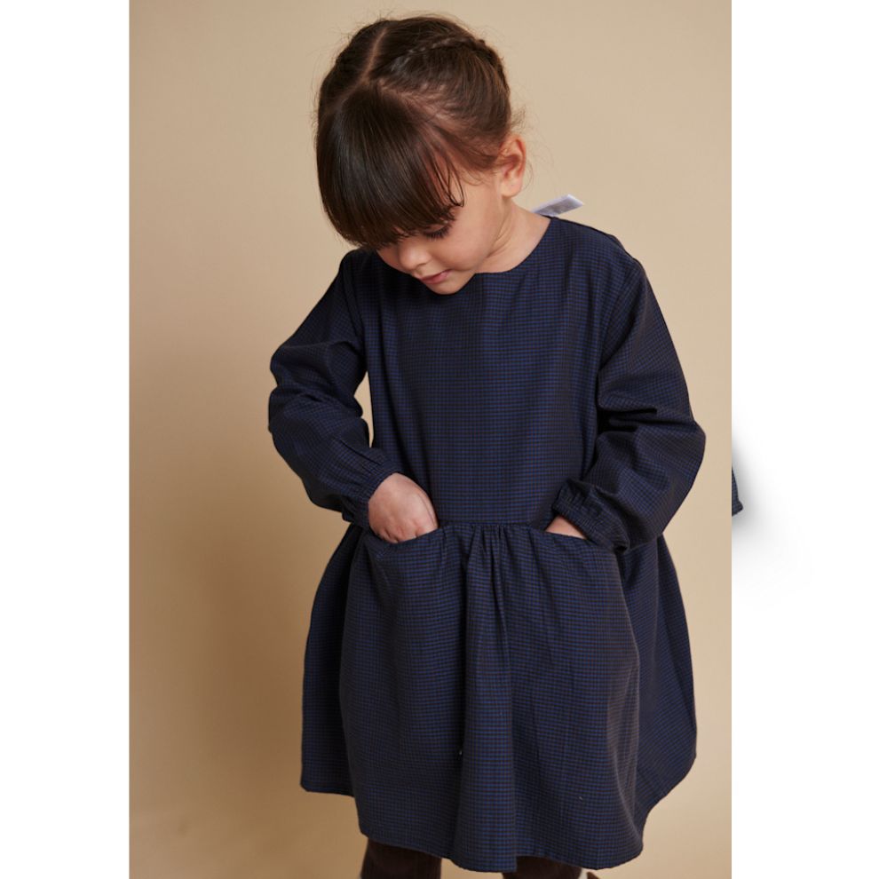Jurk lange mouw - Biologisch katoen - Navy check - Copenhagen Colors zakken