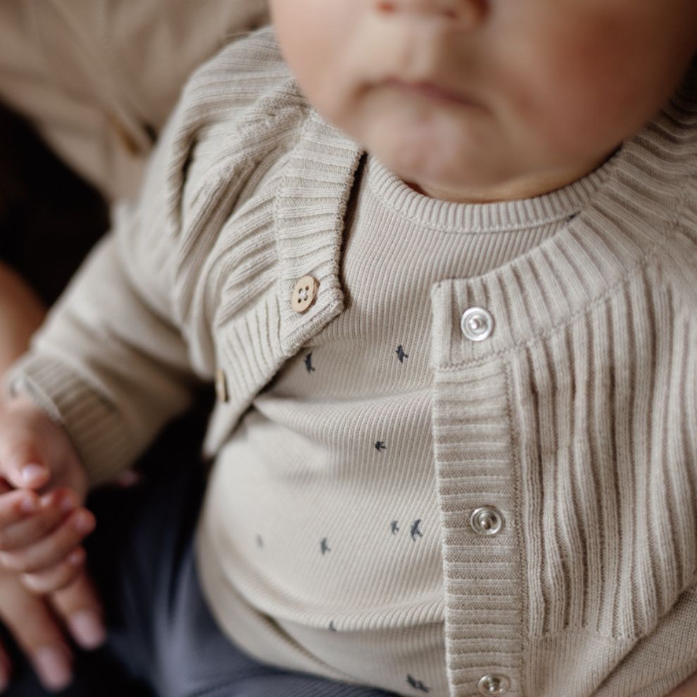 Top lange mouw Leon - Biologisch katoen - Grijs/beige - Levv close up