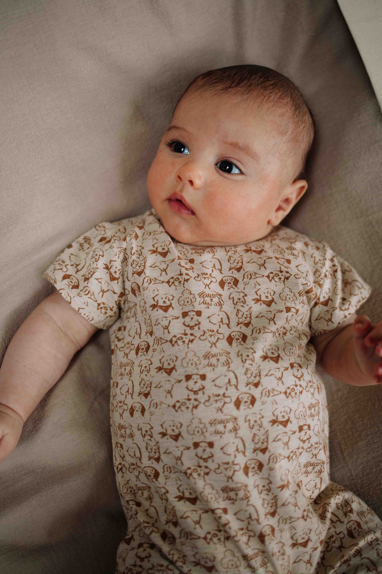 Boxpakje Gael - Biologisch katoen - Dogs/hondjes - Riffle Amsterdam baby