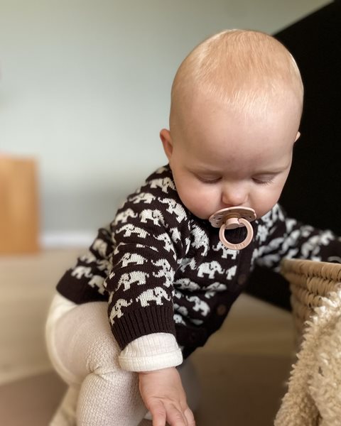 Vestje Olifantjes - Merino wol - Donkerbruin - Smallstuff baby