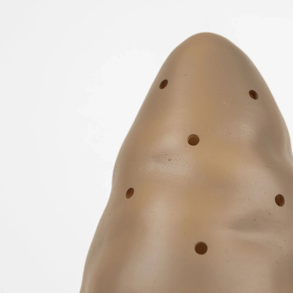 Nachtlamp Paddenstoel Klein – Chocolade met dimmer – 28 cm – Egmont Toys