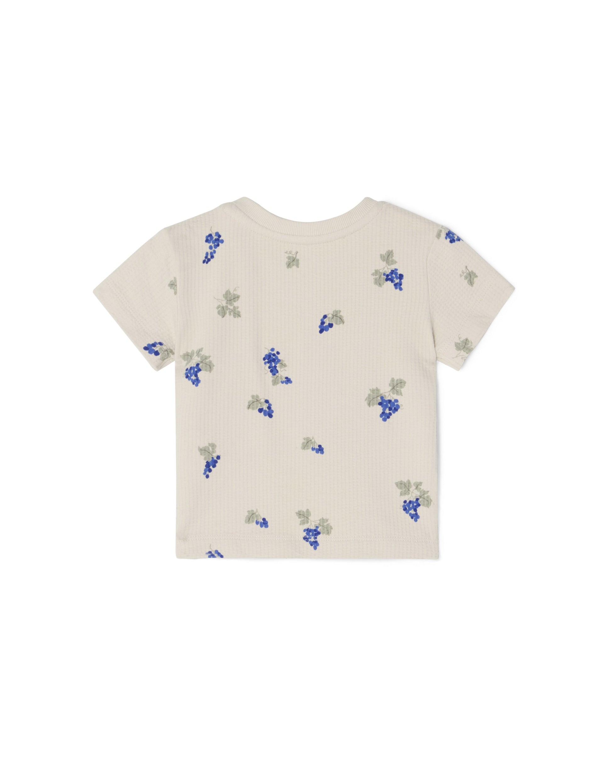 Garbo&Friends - Structured Jersey T-shirt Baby - Grapes Ecru