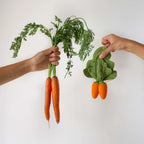 Mini knuffeldoekje & bijtring Cathy the Carrot - Natuurrubber & mousseline - Oli & Carol - verpakking - afbeelding 2