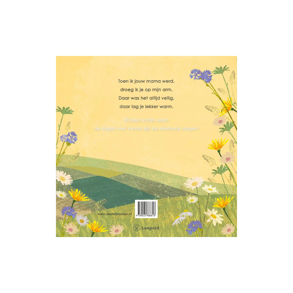 Livre à lire à voix haute - Quand je suis devenue ta maman - 3 ans et plus - Egmont Toys