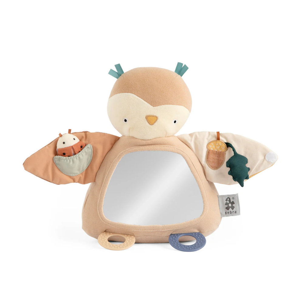 Blinky the Owl - Activity Toy