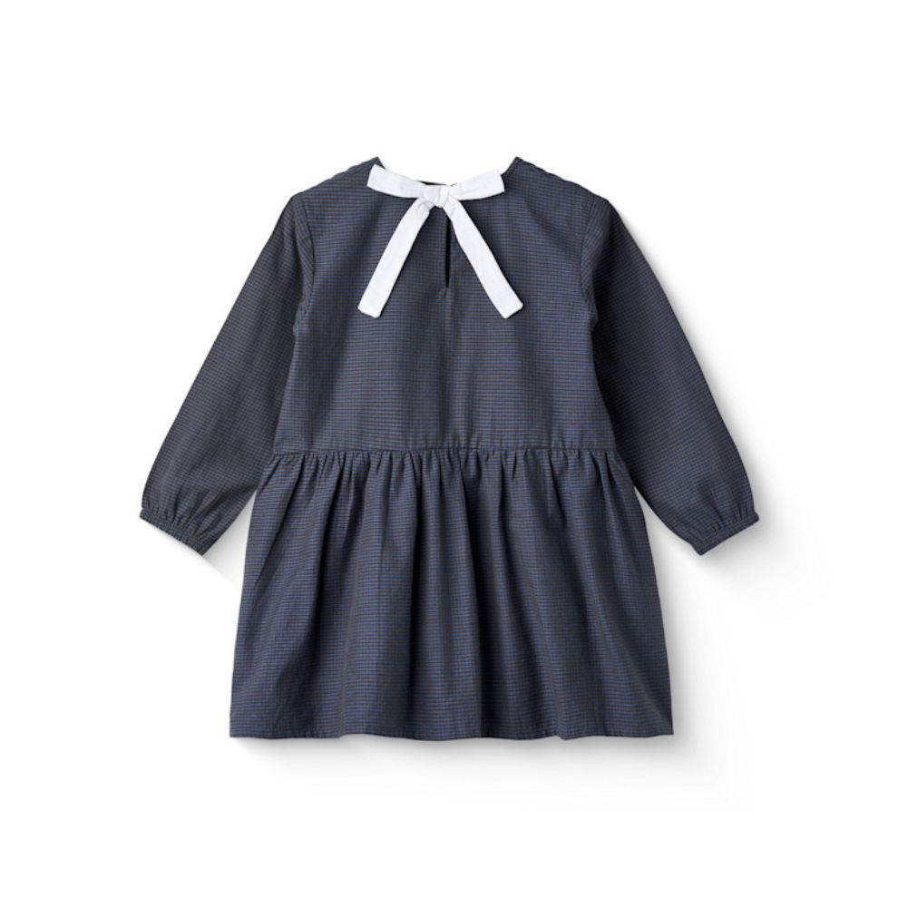 Jurk lange mouw - Biologisch katoen - Navy check - Copenhagen Colors achter