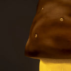 Nachtlamp Paddenstoel Klein – Chocolade met dimmer – 28 cm – Egmont Toys