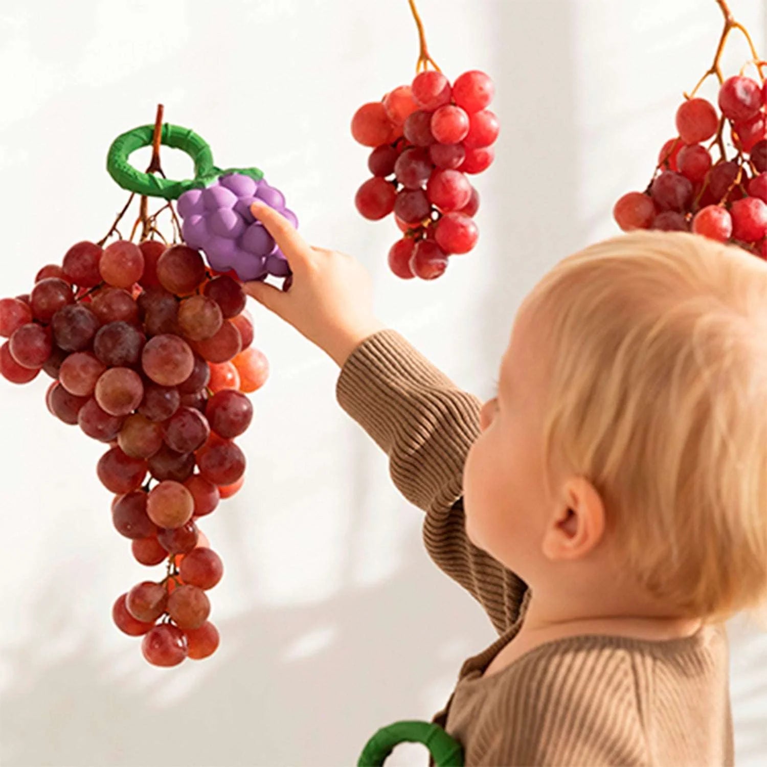 Druif rammelaar & bijtring - Natuurrubber - Grape Rattle Toy - Oli & Carol - productfoto - afbeelding 4