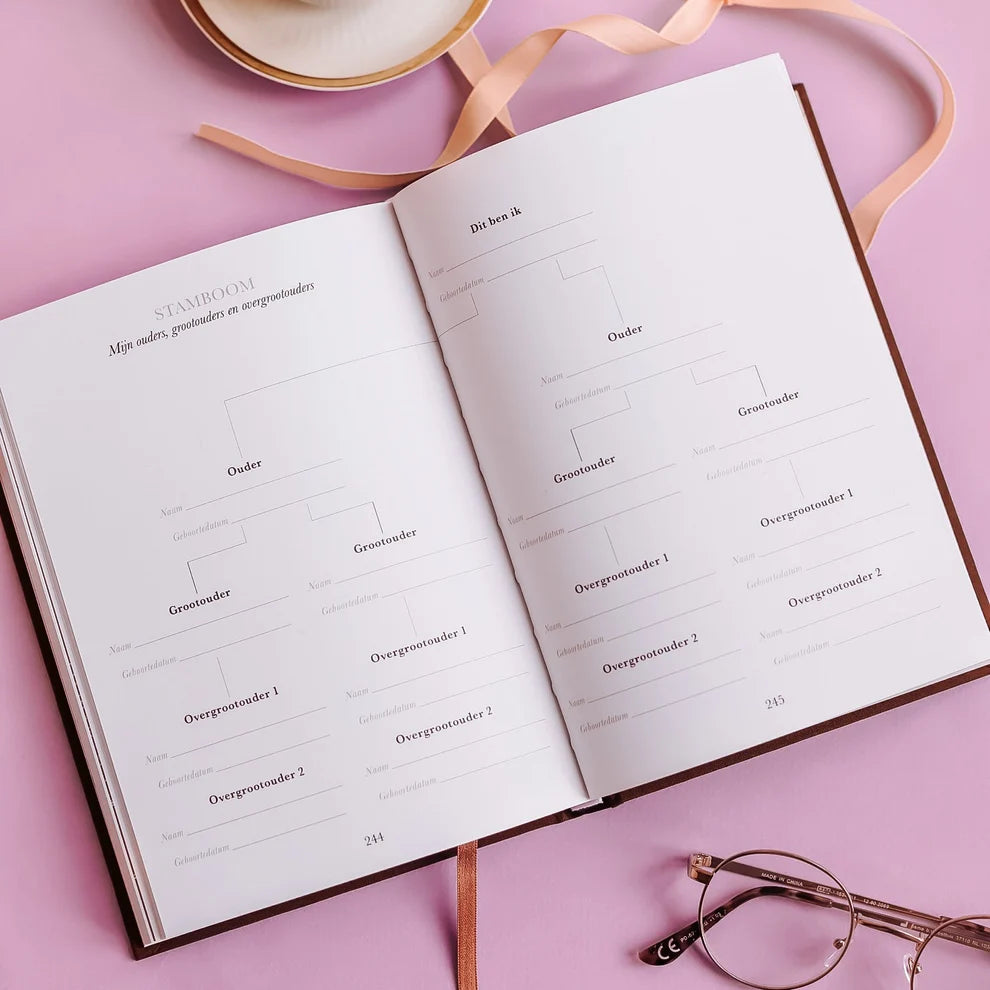Sinds jij mijn kleinkind bent – Grootouder invulboek met herinneringen en levenslessen voor 10 jaar – Birth Lines