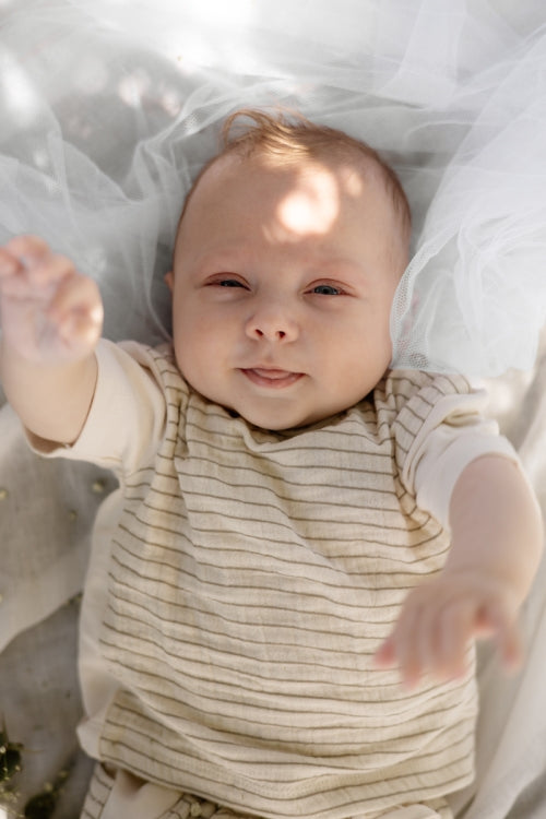 T-shirt Martin - Biologisch katoen - Taupe lines - Levv Labels baby