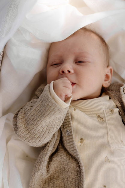 Vestje Melle - Biologisch katoen - Greige - Levv Labels baby