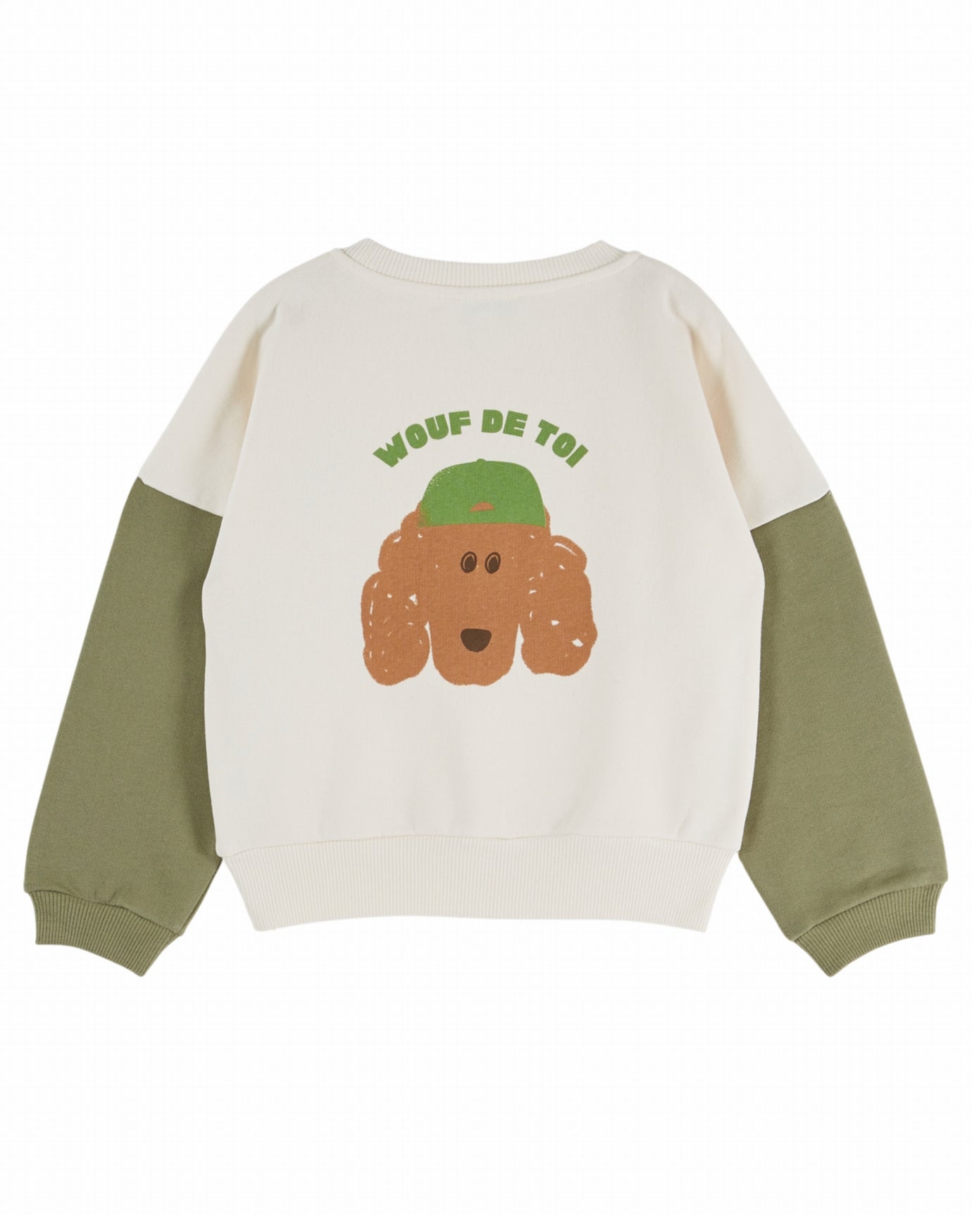 Sweater met hondenprint – Ecru Pistache – Biologisch katoen - Sweatshirt Bicolore - Emile et Ida