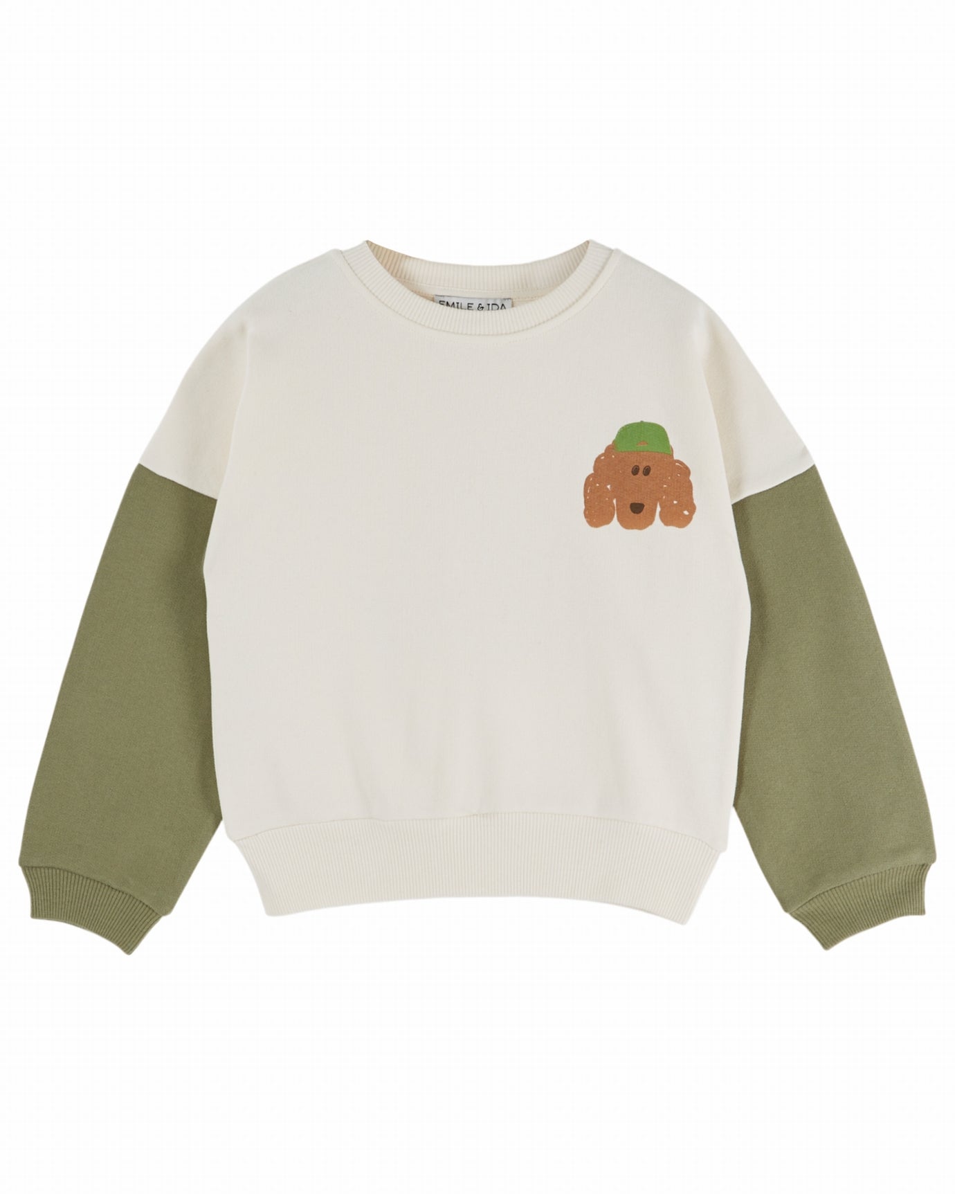 Sweater met hondenprint – Ecru Pistache – Biologisch katoen - Sweatshirt Bicolore - Emile et Ida
