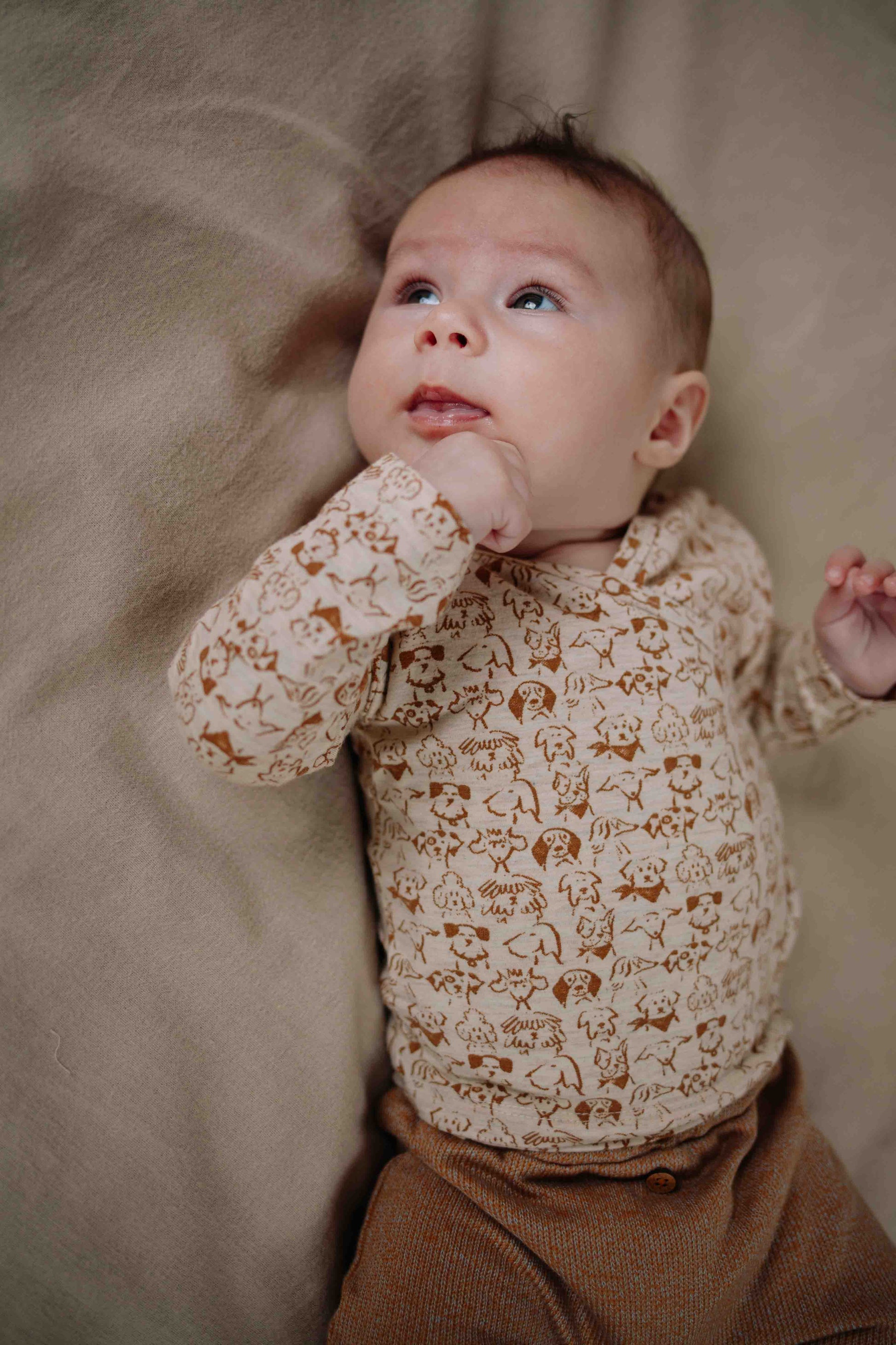 Overslag top Noa - Biologisch katoen - Dogs/Hondjes - Riffle Amsterdam kind