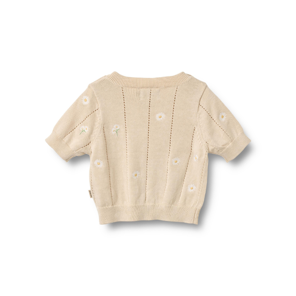 Gebreide top korte mouw - Knit Top S/S Malvina - Biologisch katoen - Sandshell/Creme - Wheat achter